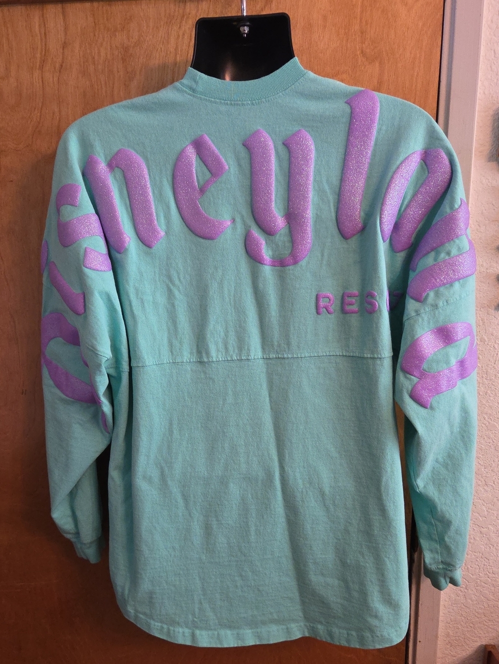Disney Parks Disneyland Resort Spirit Jersey Adult Large Blue and Purple